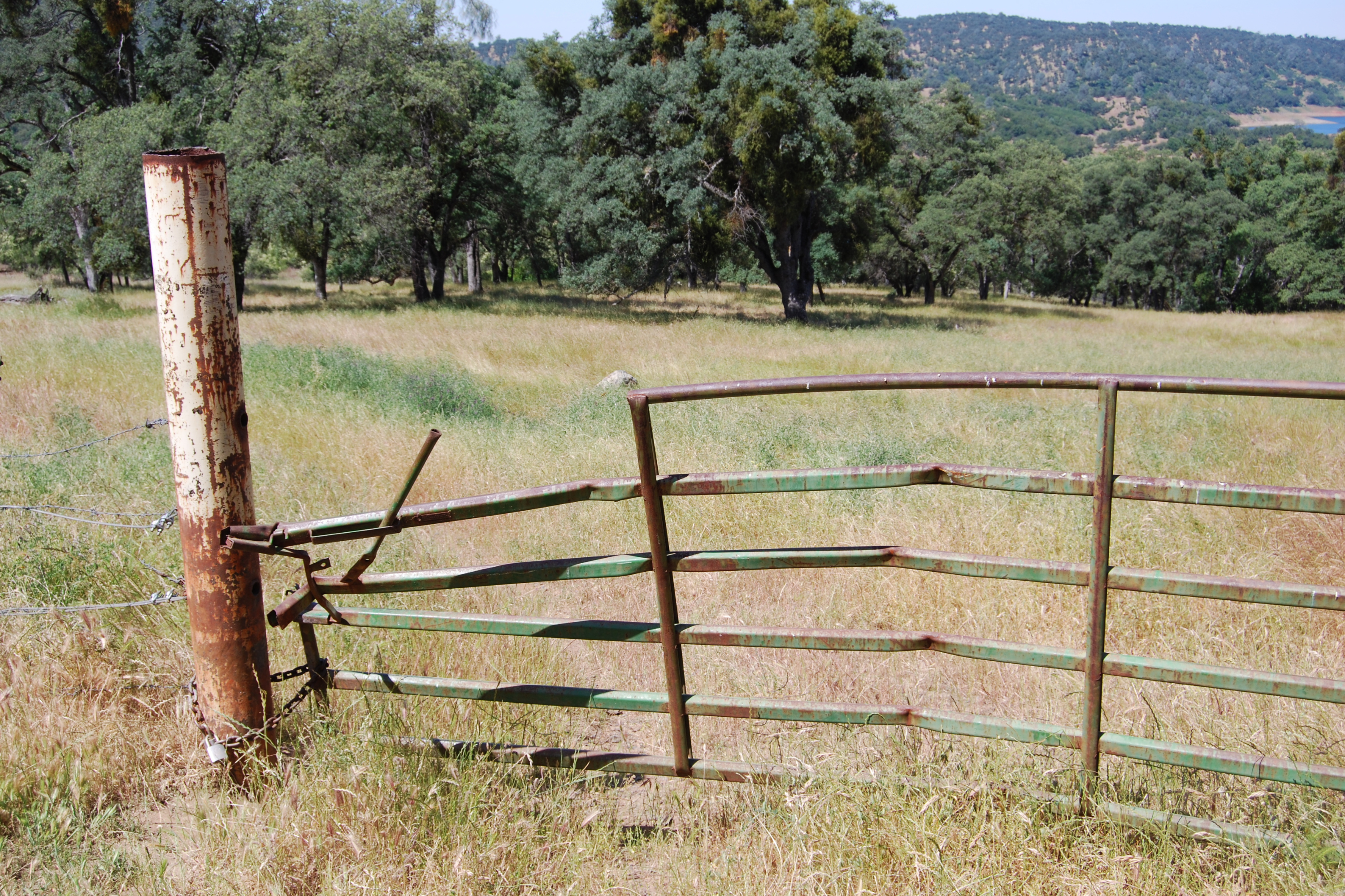Stay Ahead of Fall Fence & Gate Issues with Remote Cameras