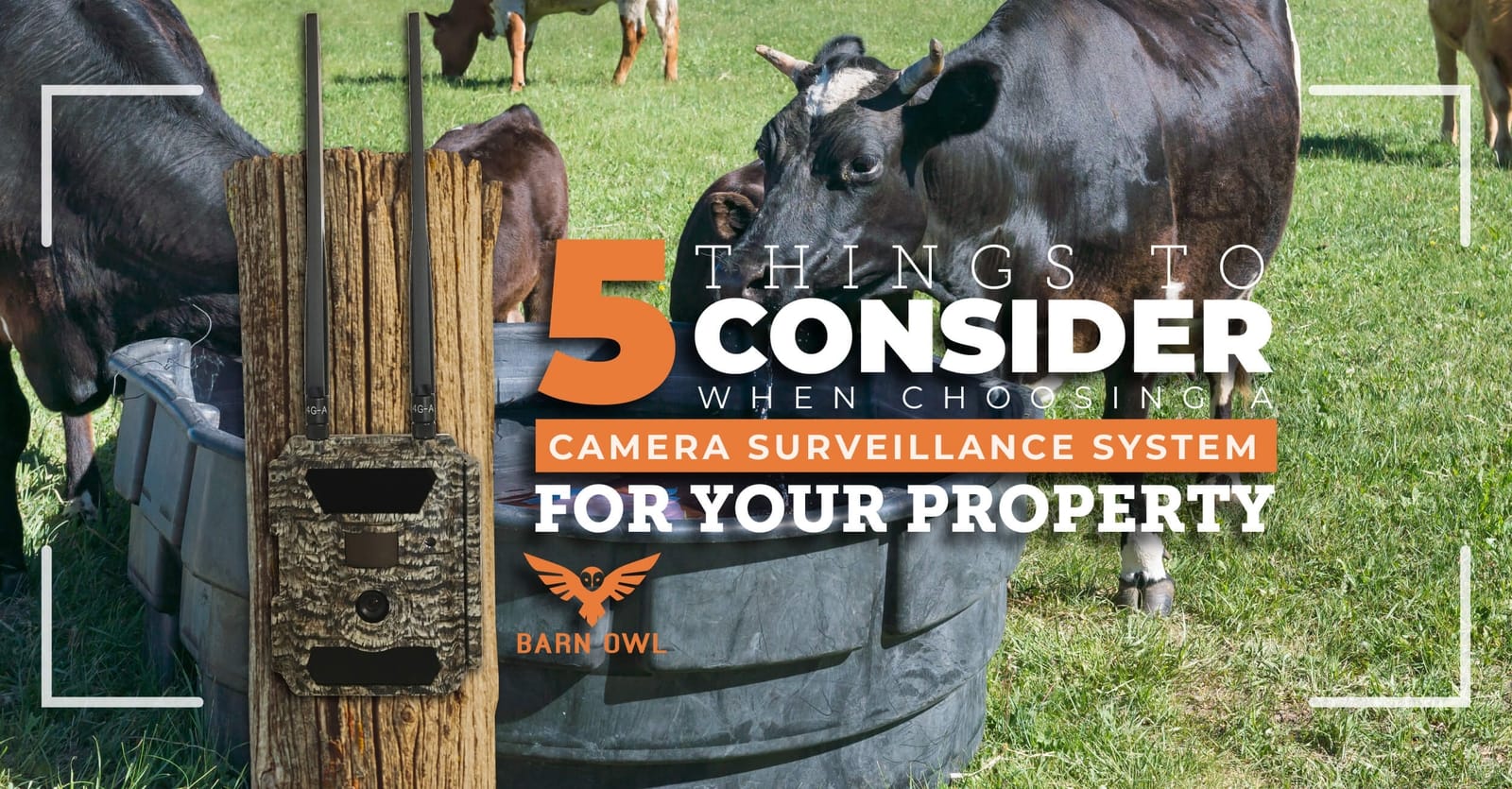5 Things To Consider When Choosing A Video Surveillance System For Your Property