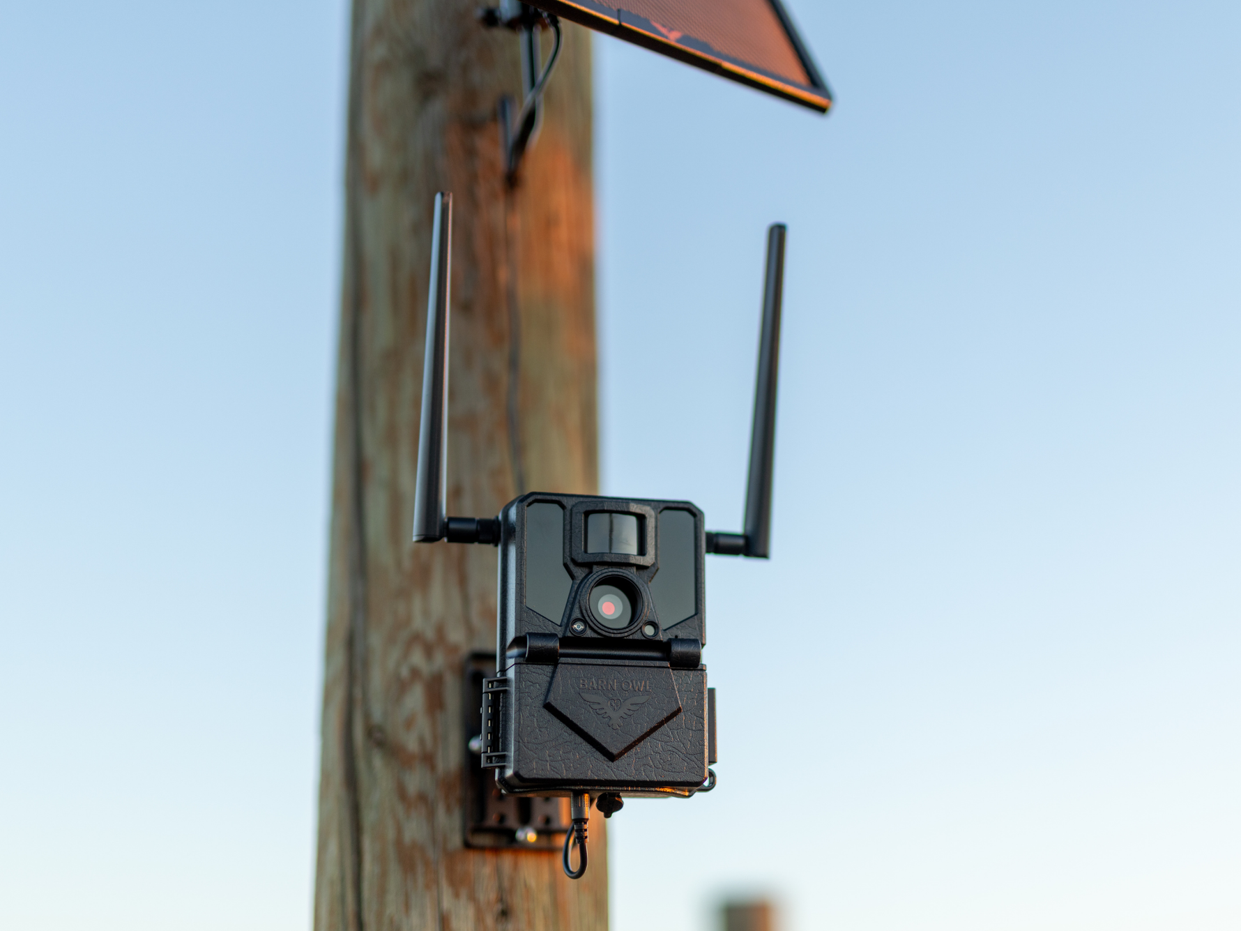 Ultimate Guide to Cellular Trail Cameras