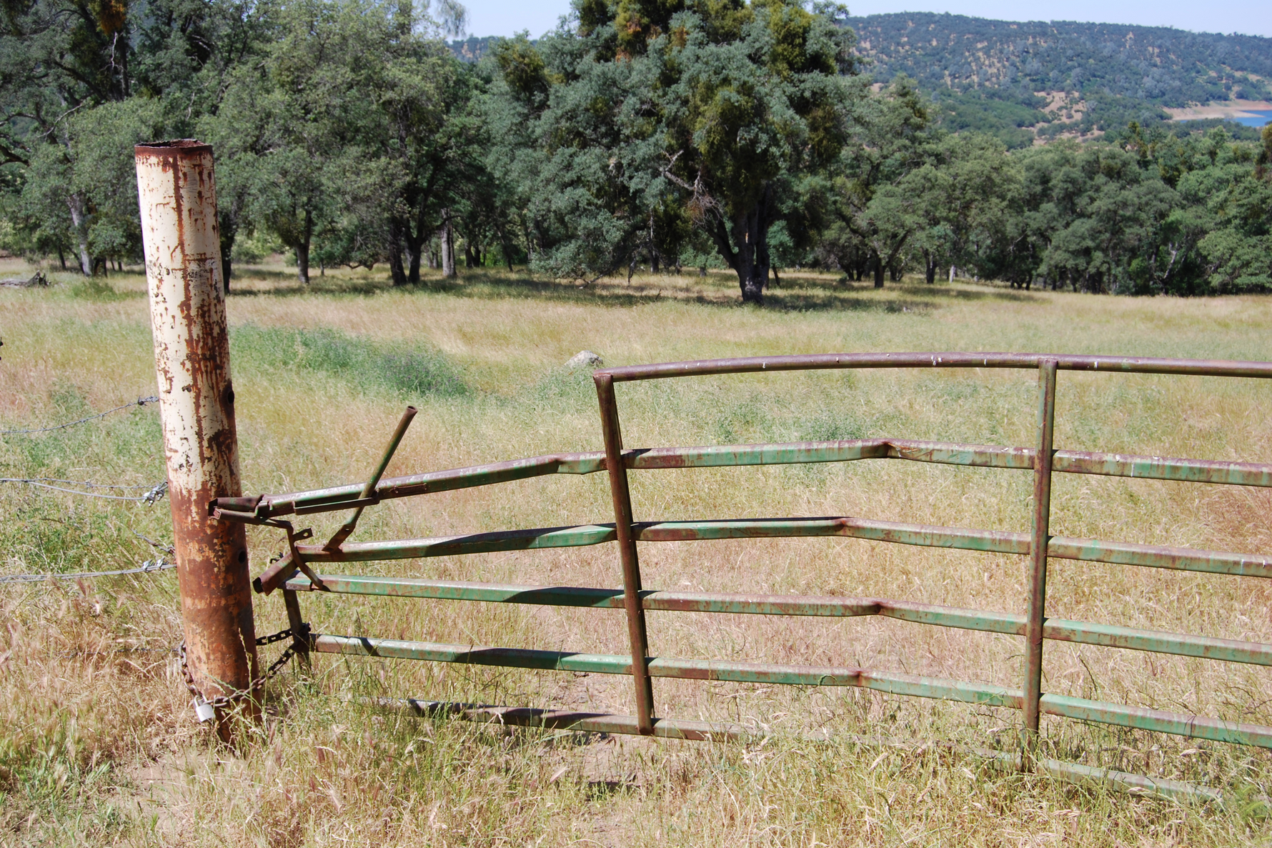 Stay Ahead of Fall Fence & Gate Issues with Remote Cameras