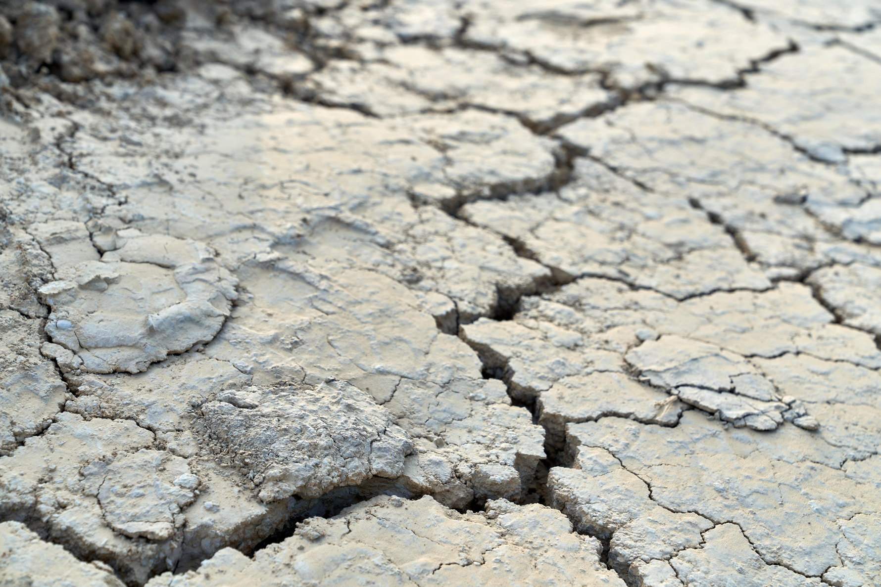 Catastrophic Coverage: Basic Protection for the Toughest Seasons