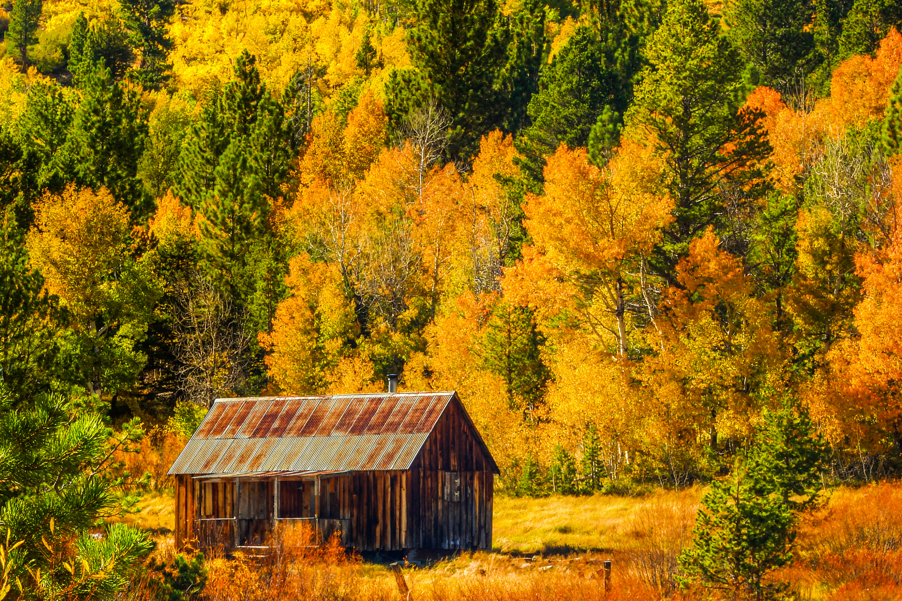 Fall Prep 101: Securing Remote Property Before Winter