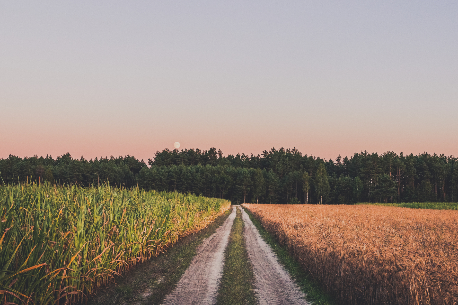 Protecting Roads, Trails, and Access Points on Remote Land