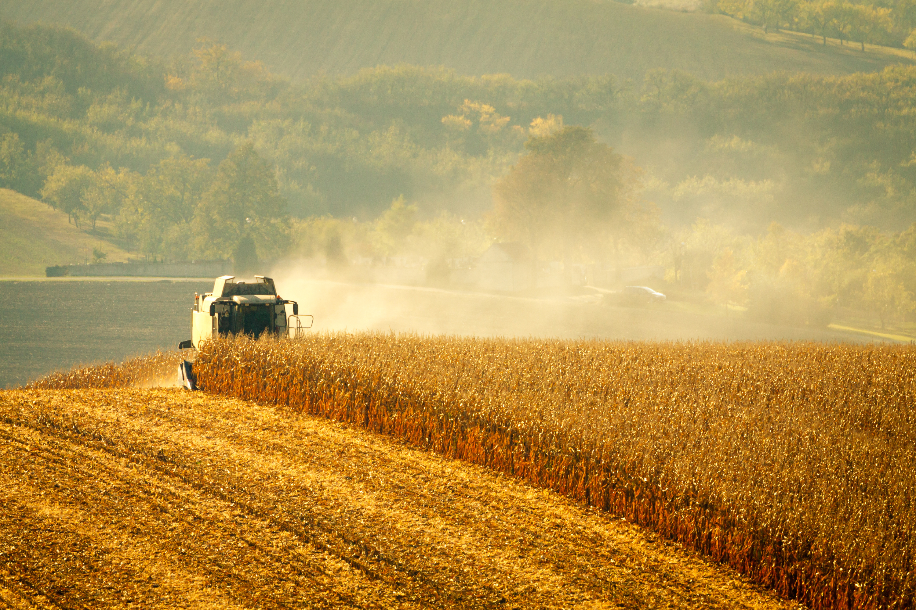 Protecting Farm Assets During Harvest with Barn Owl