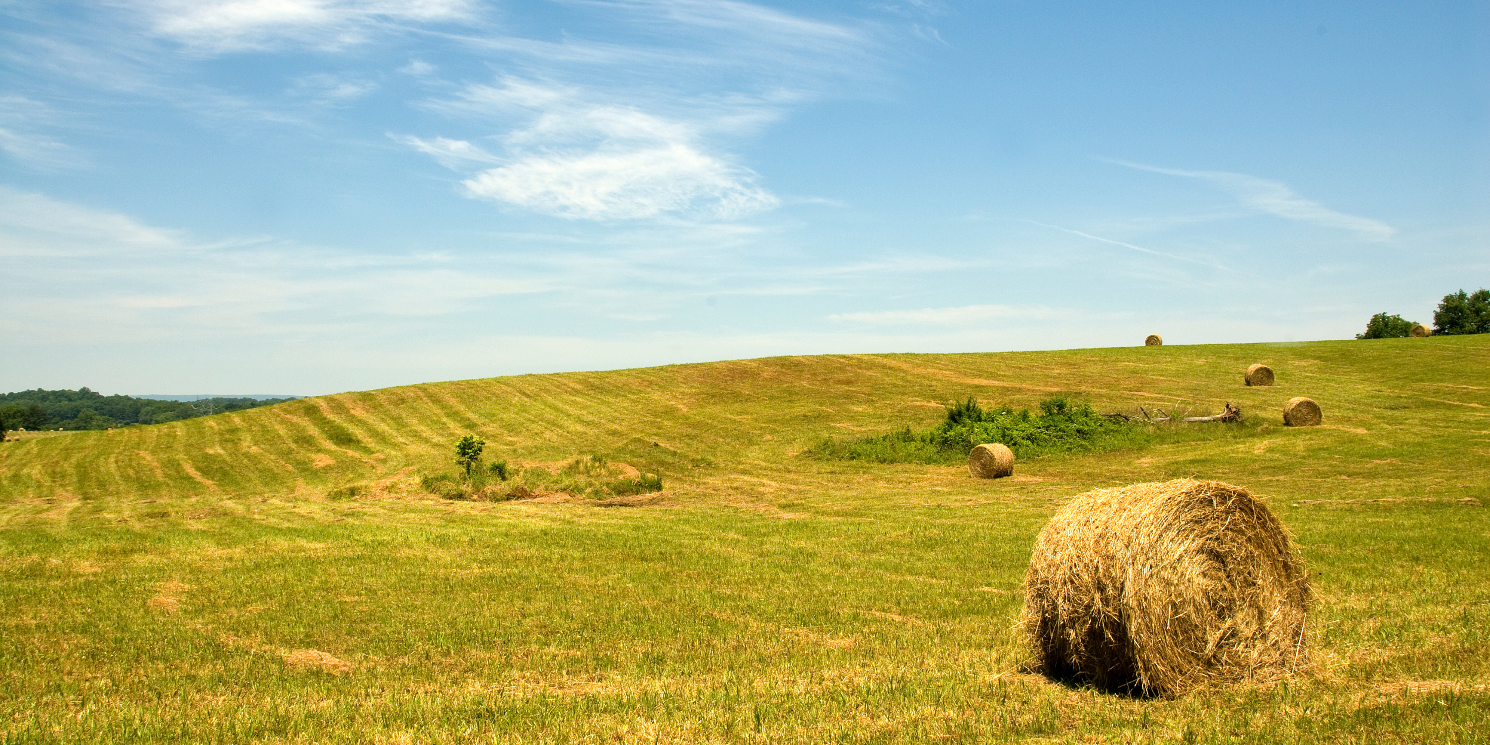 Funding the Future of Farming: State and Federal Preservation Programs