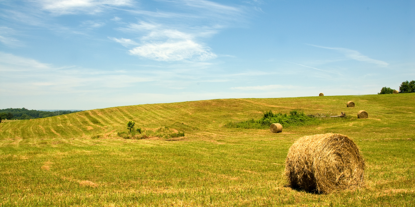 Funding the Future of Farming: State and Federal Preservation Programs