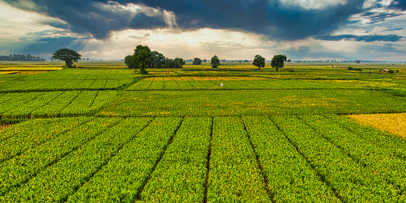 Saving Farmland, One Acre at a Time: The Role of Land Trusts and Conservation Nonprofits