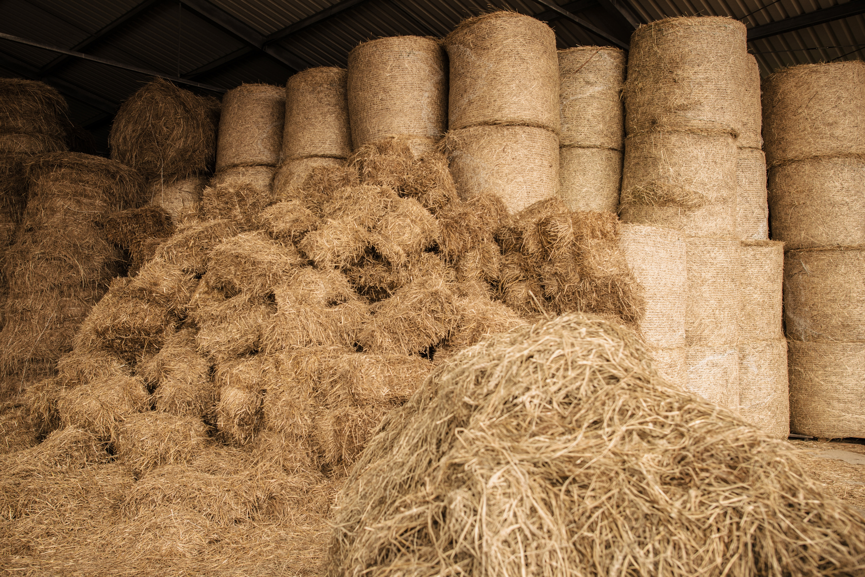 5 Winter Feed Storage Mistakes That Are Costing You Money