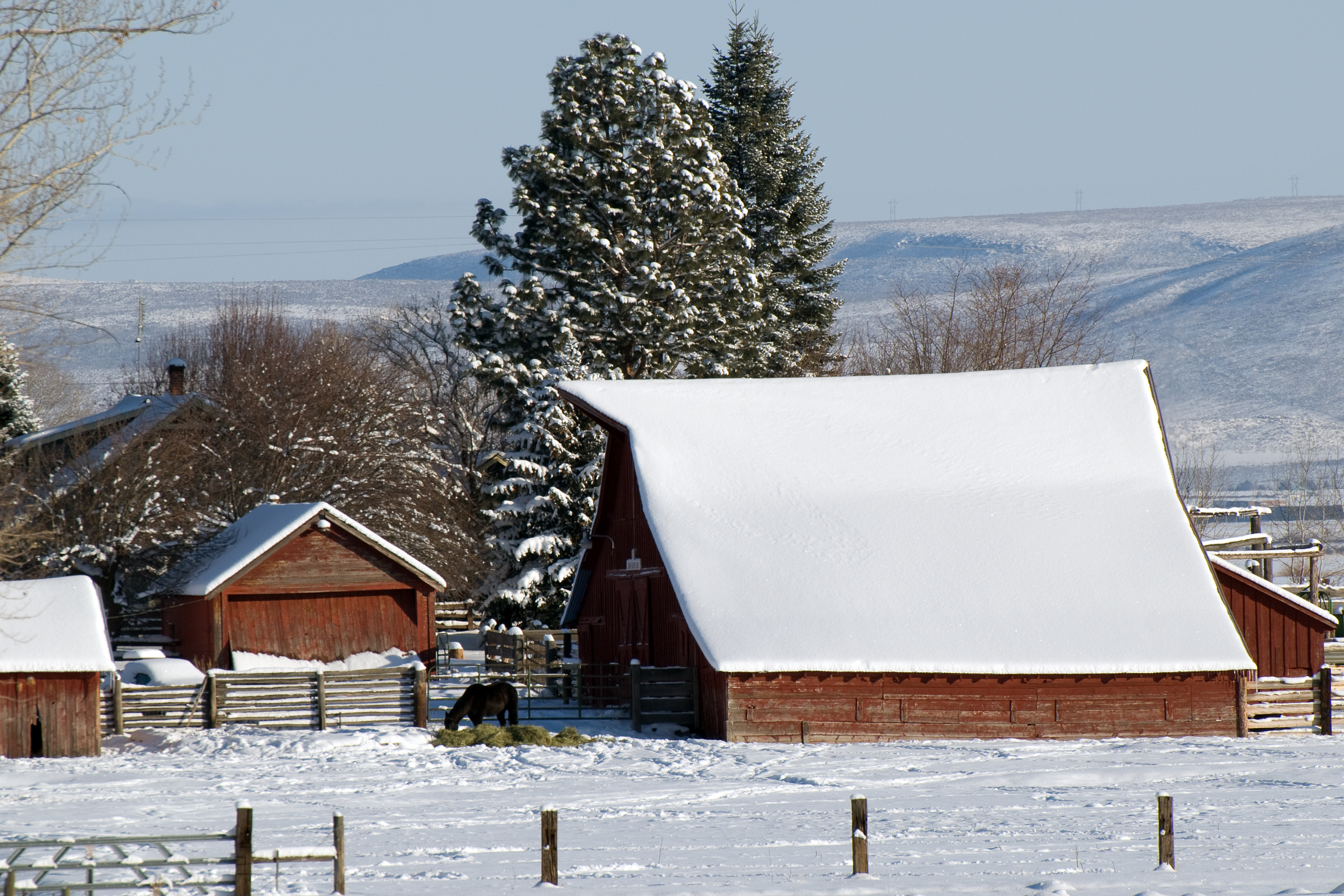 How to Winterize Your Feed Room Before Temperatures Drop