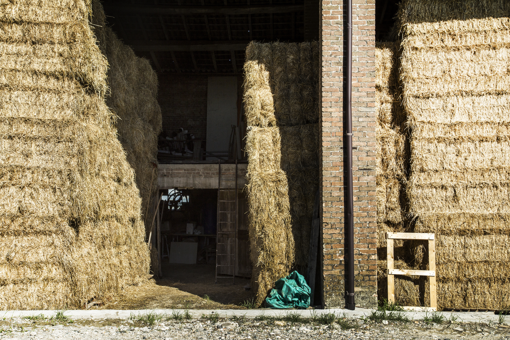 How to Run a Winter Feed Audit (And Save Money Doing It)