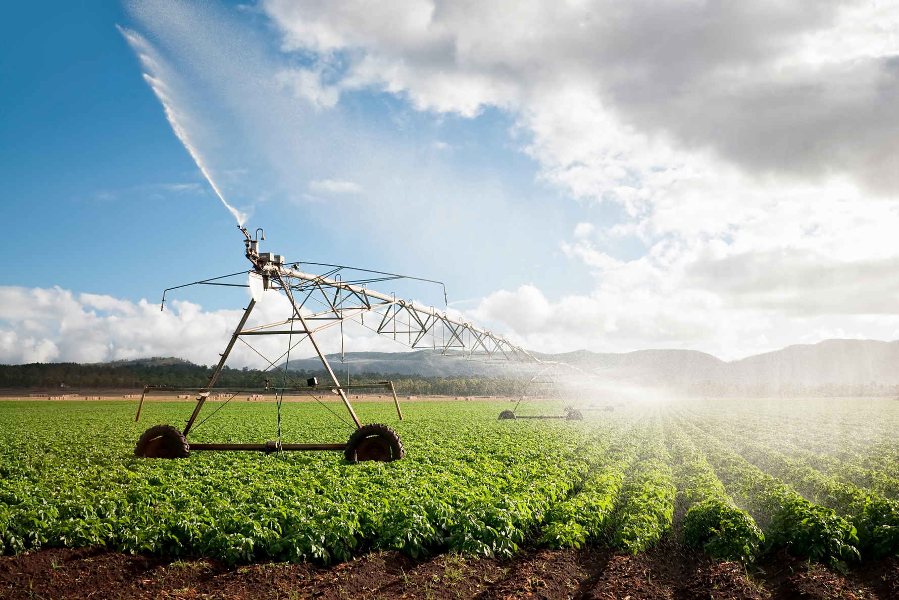 Exploring Your Options: Water Supply Methods for Crop Irrigation