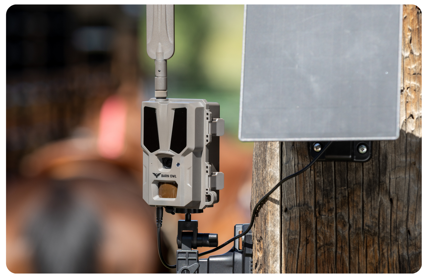 Capturing Nature with Mini Outdoor Cameras