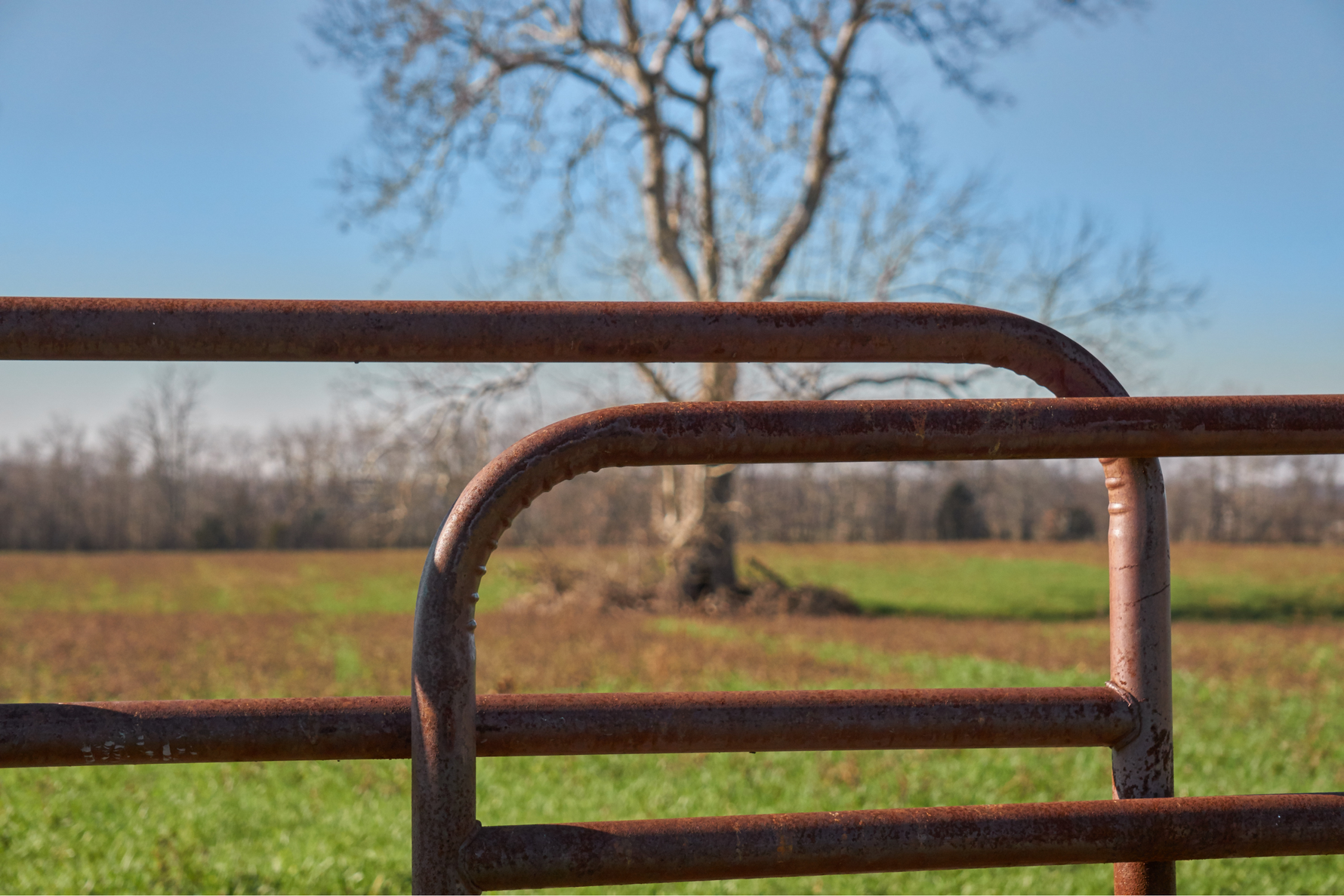 Panel Gates – Flexible Fencing That Moves With You