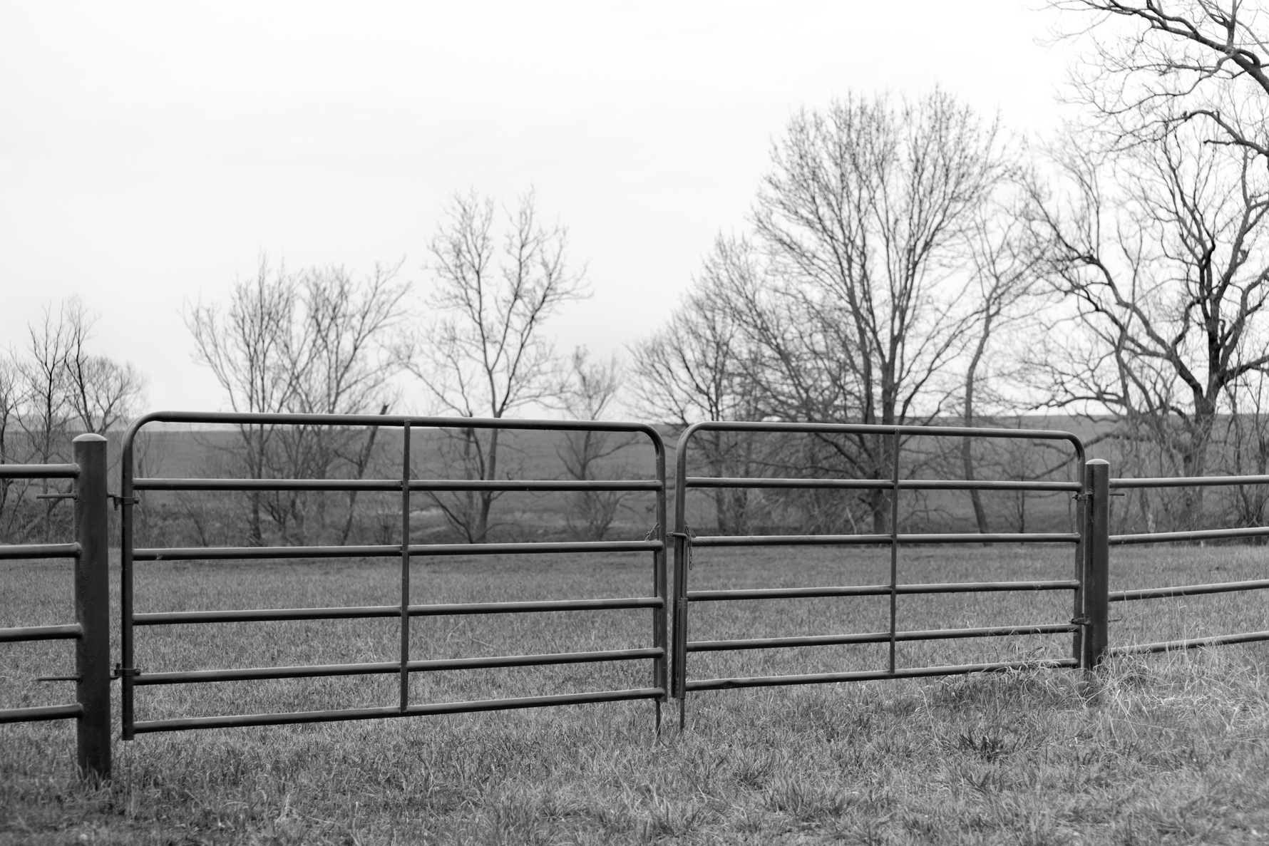 Pipe Gates – Built to Last in the Toughest Conditions