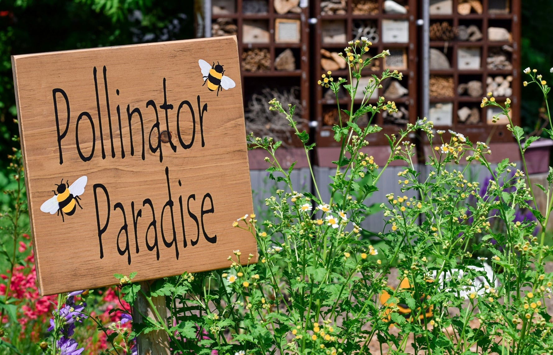 The Most Common Pollinators That Help Your Garden Thrive