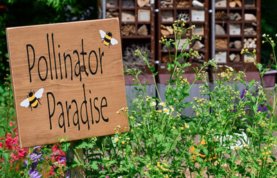 The Most Common Pollinators That Help Your Garden Thrive