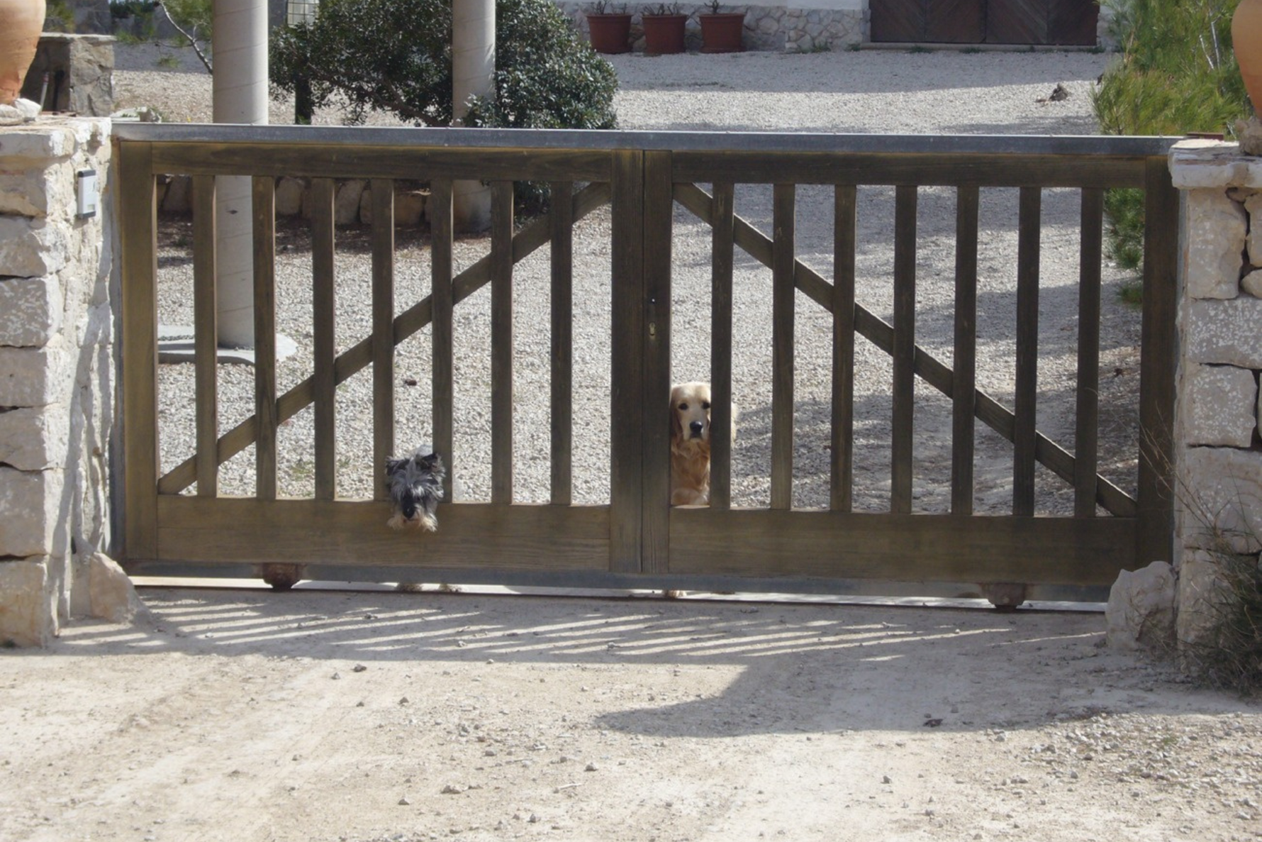 Sliding & Rolling Gates – Pasture Access with a Smooth Glide