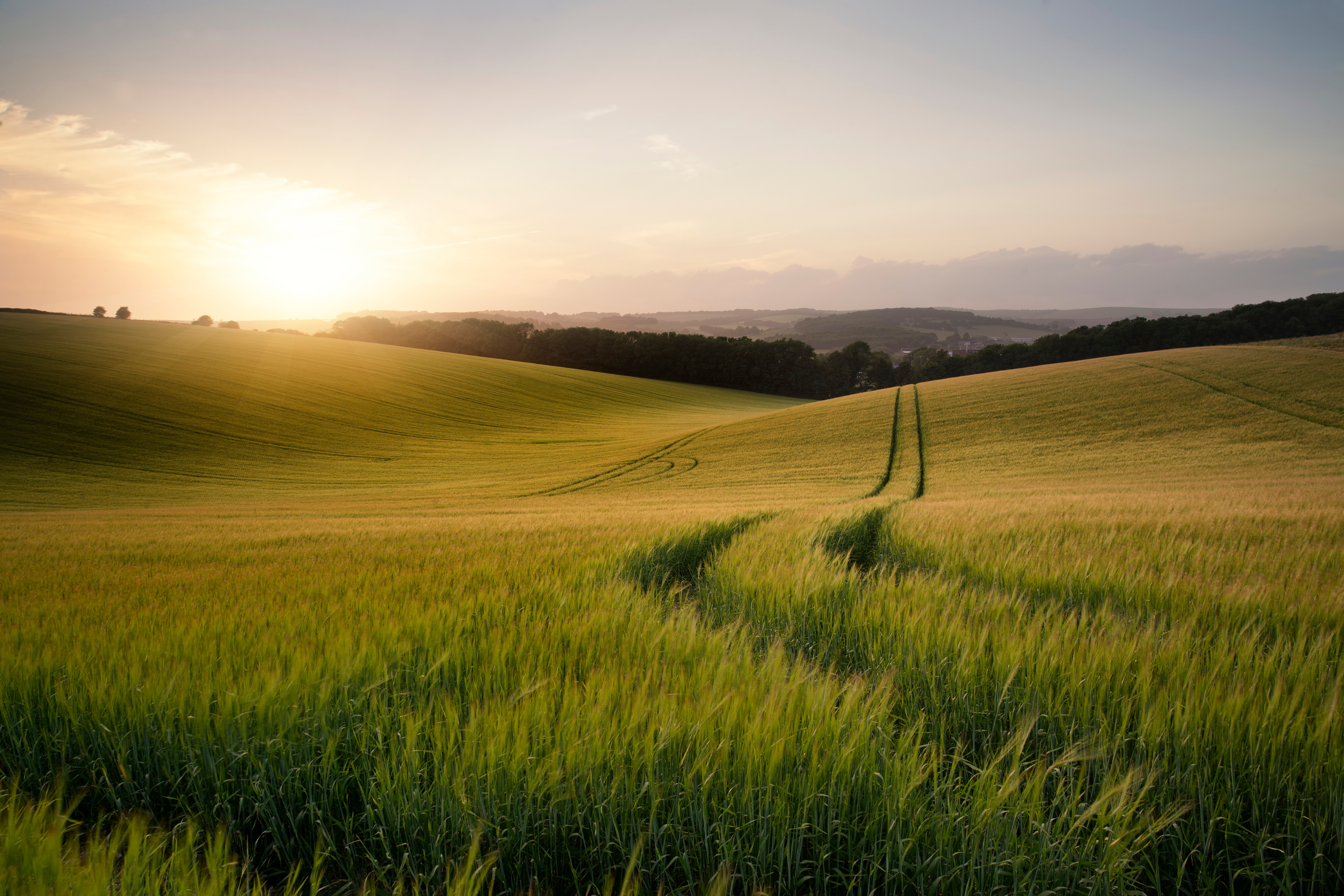 Benefits of Using Solar Trail Cameras