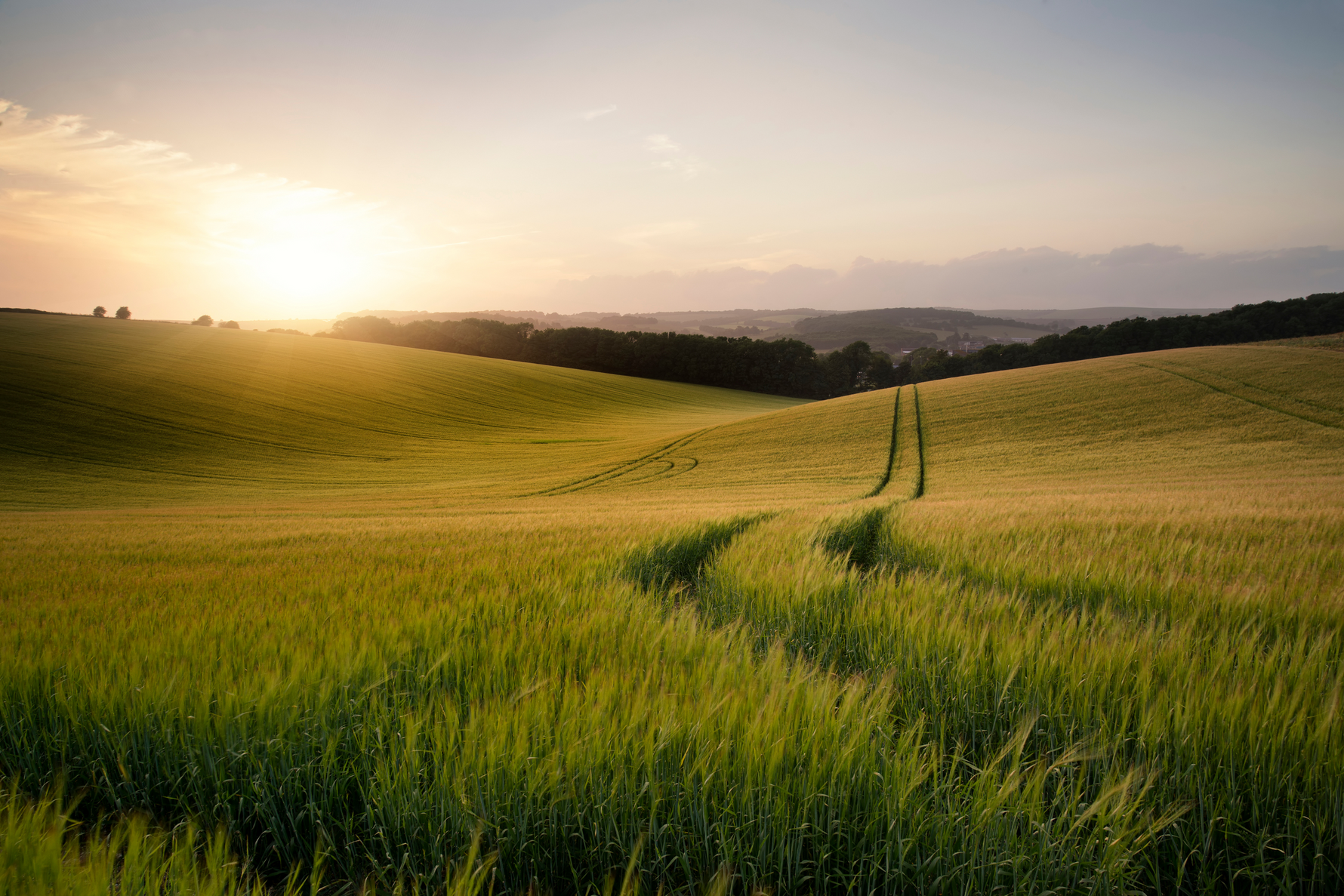 Holistic Management: A Comprehensive Approach to Sustainable Agriculture