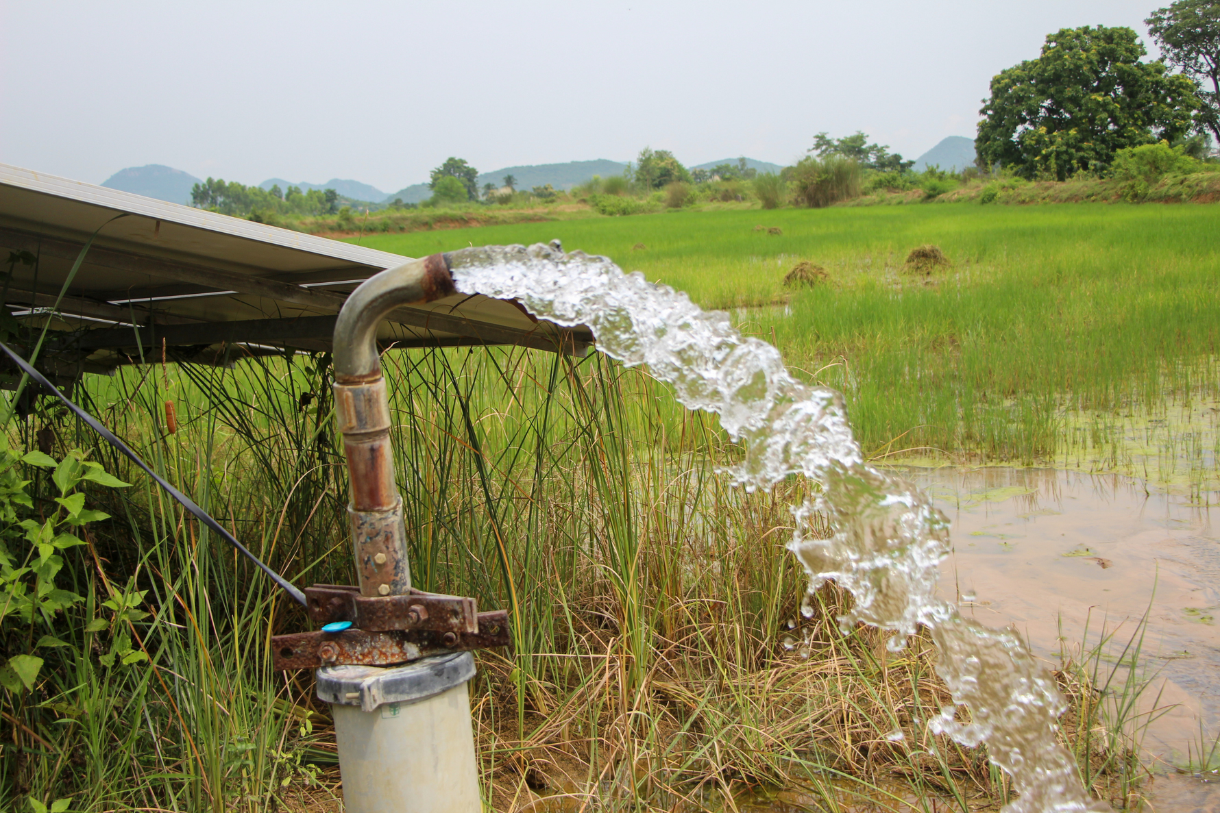 Tube Wells: Going Deep for Dependable Water on Your Homestead
