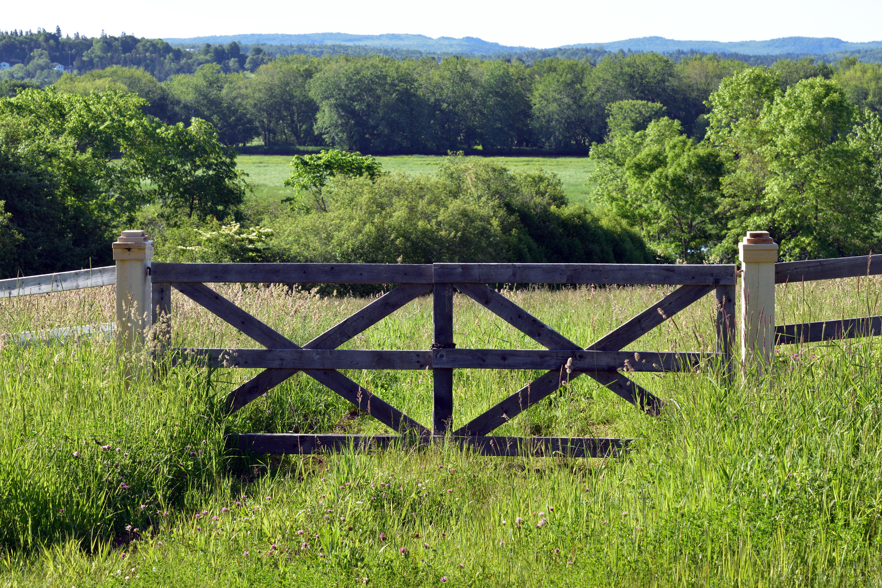 Wooden Gates – Classic, Sturdy, and Full of Character