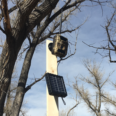 RangeCam Solar Panel (Bundle Pricing)