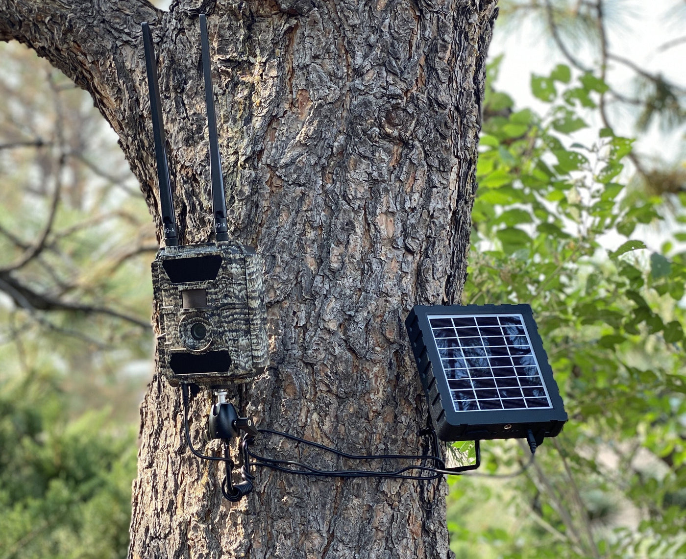 RangeCam 4G Warranty Bundle